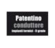 patentino-conduttore